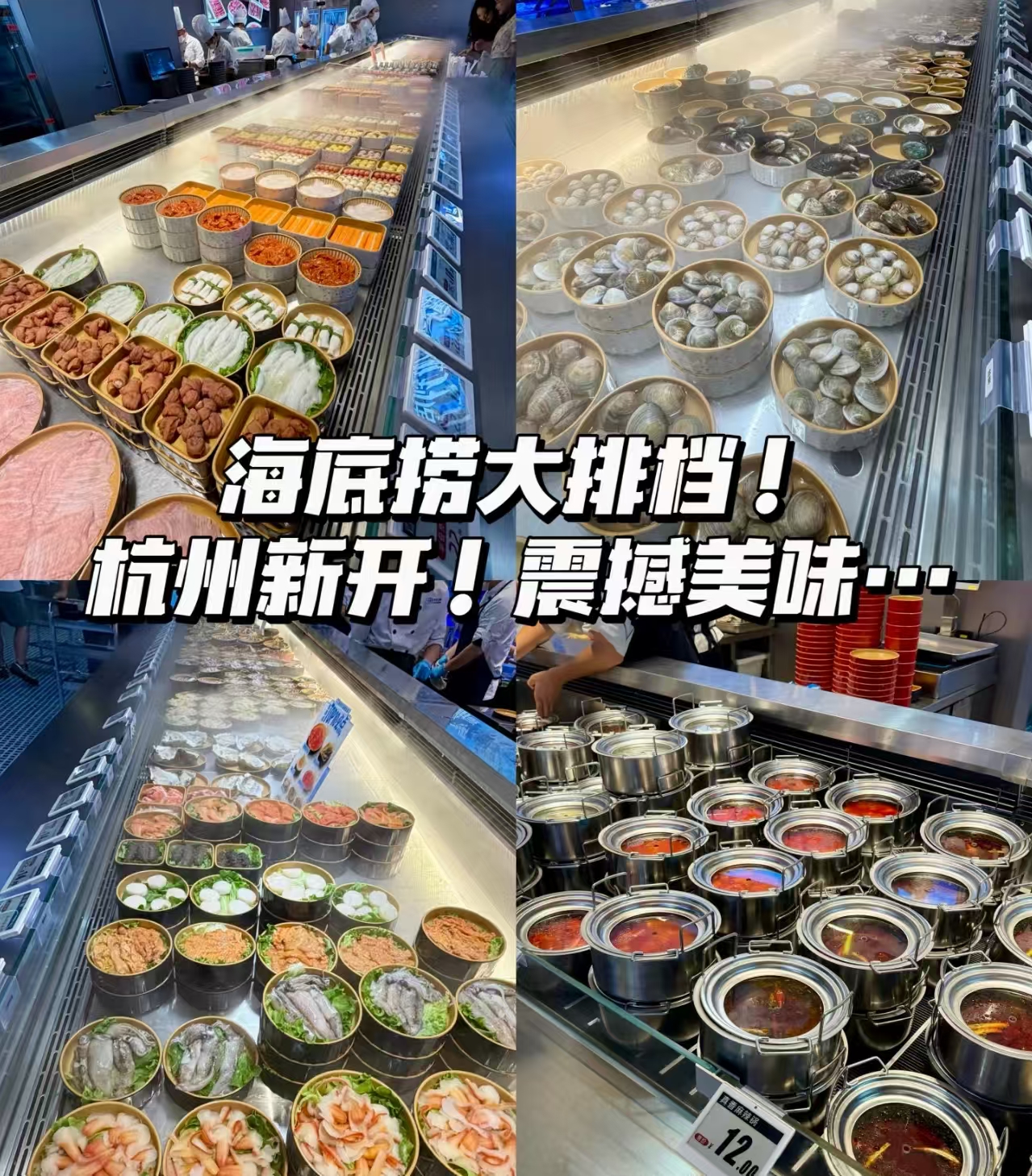这里的海鲜都是海底“捞”的——海底捞大排档水晶城店盛大开业