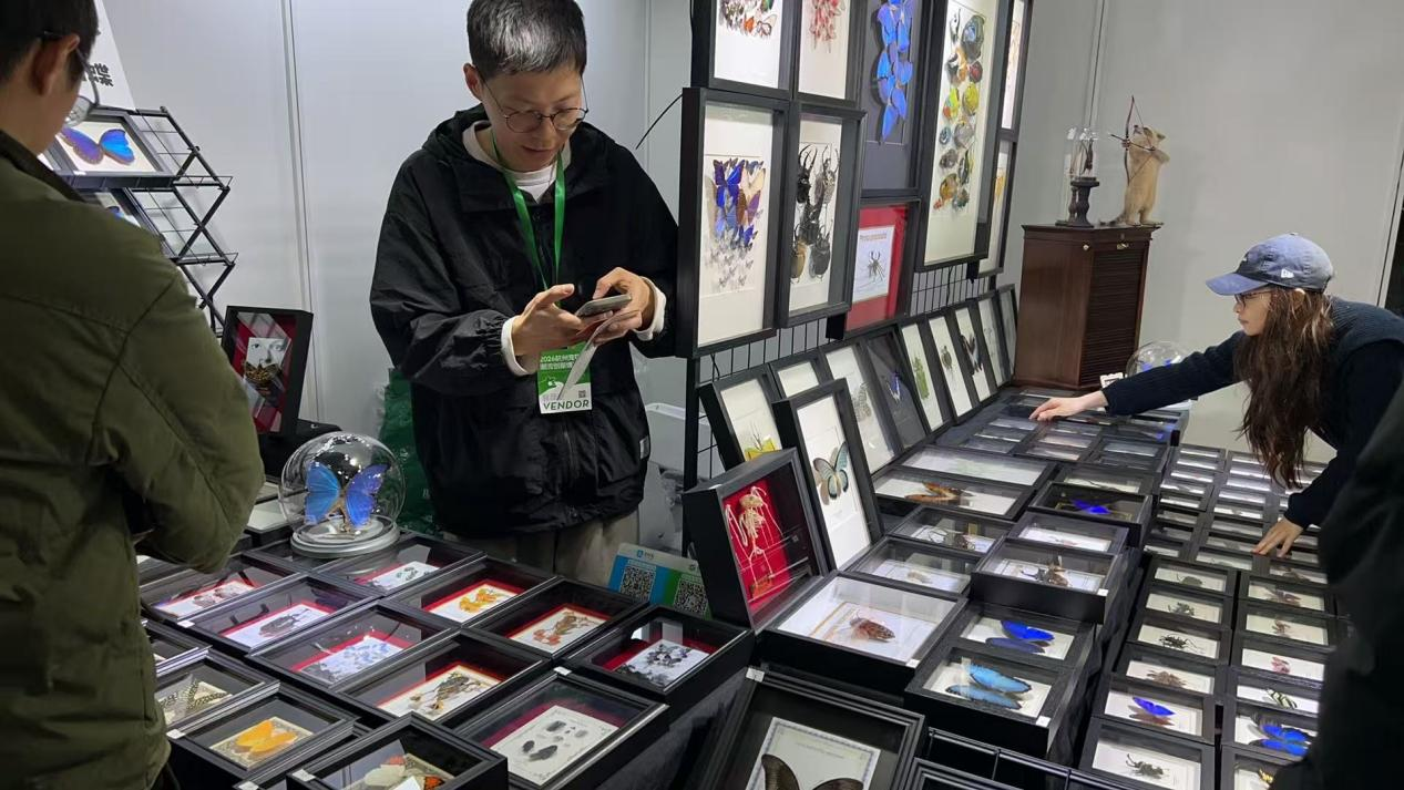 图片6.png 图片6.png